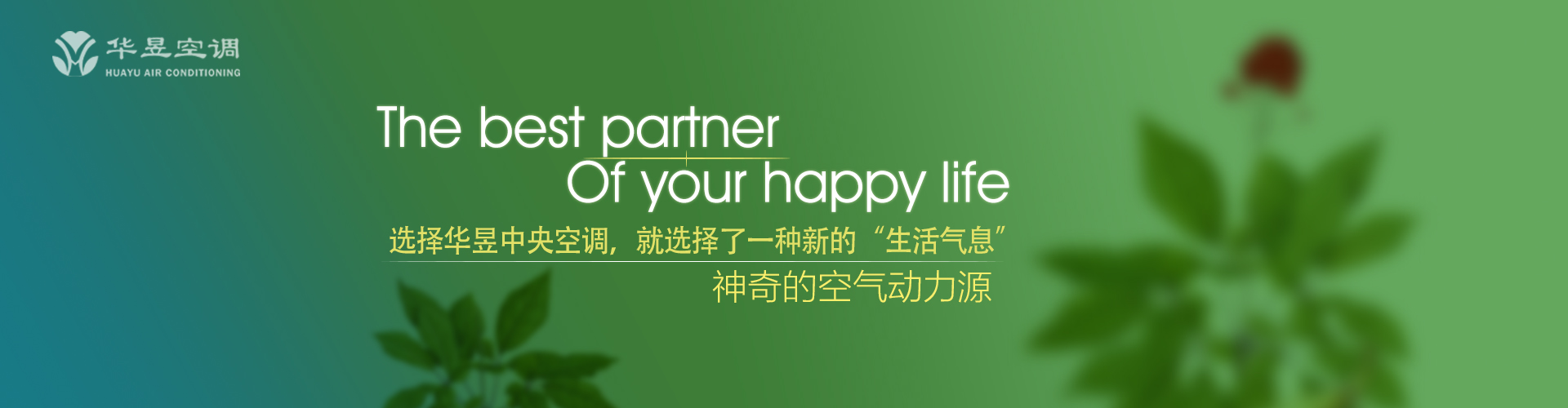 痴人说梦网